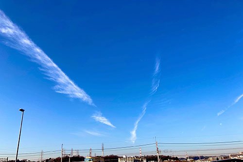 占い師メレのお気に入り写真2